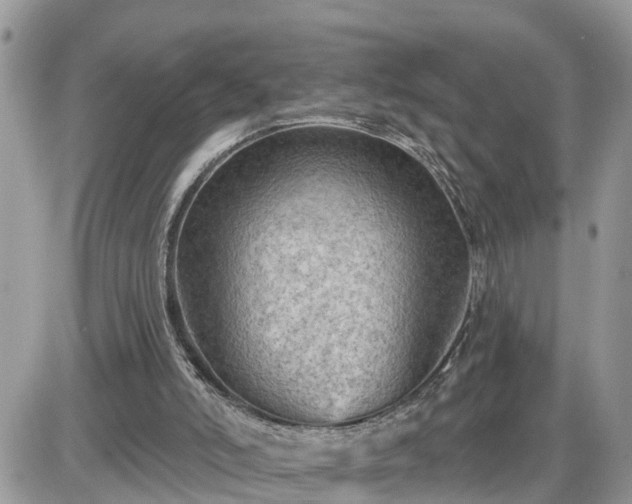 X0000087590006200705041520