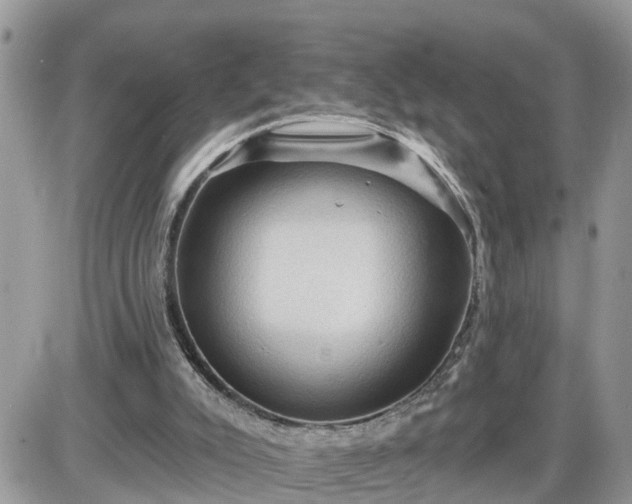 X0000087590007200705041520