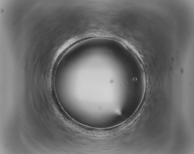 X0000087590008200705041520