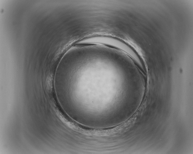 X0000087590009200705041520