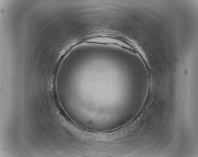 X0000087590010200705041520