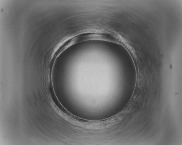 X0000087590011200705041520