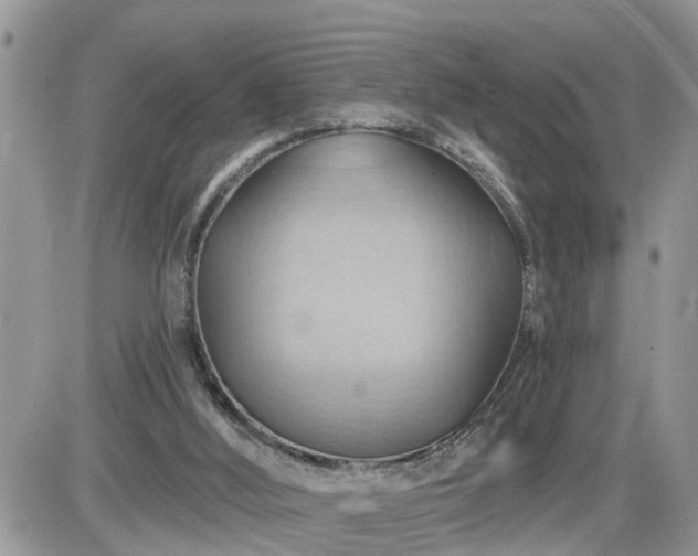 X0000087590012200705041520