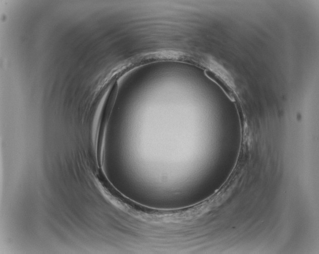 X0000087590013200705041520