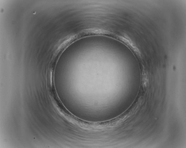 X0000087590014200705041520