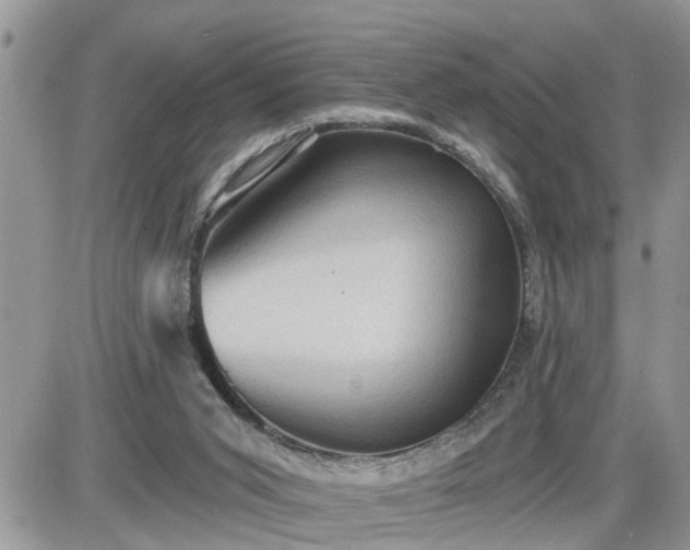 X0000087590015200705041520