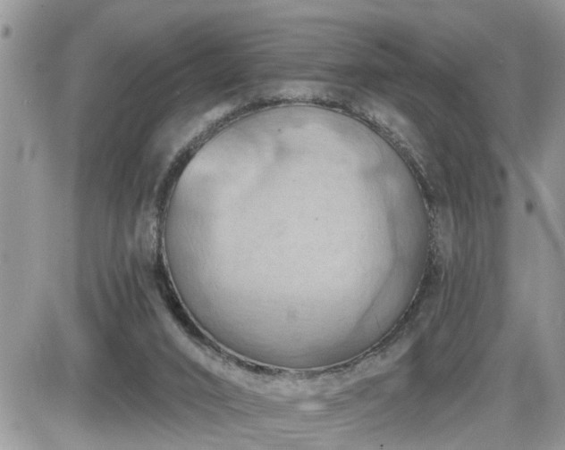 X0000087590016200705041520