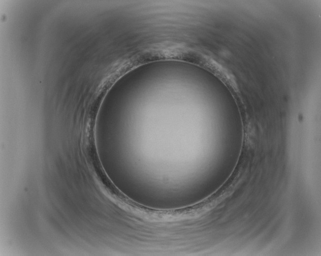 X0000087590018200705041520