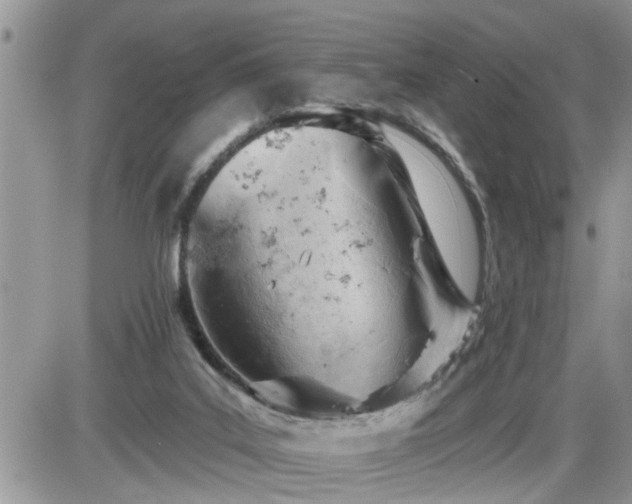 X0000087590019200705041520