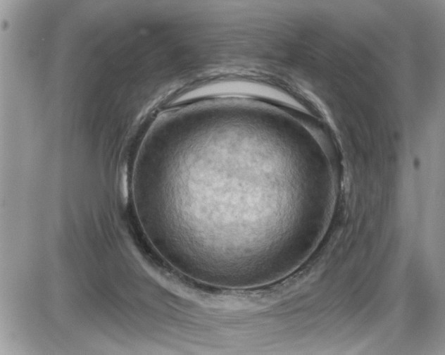 X0000087590020200705041520