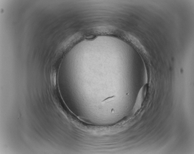 X0000087590021200705041520