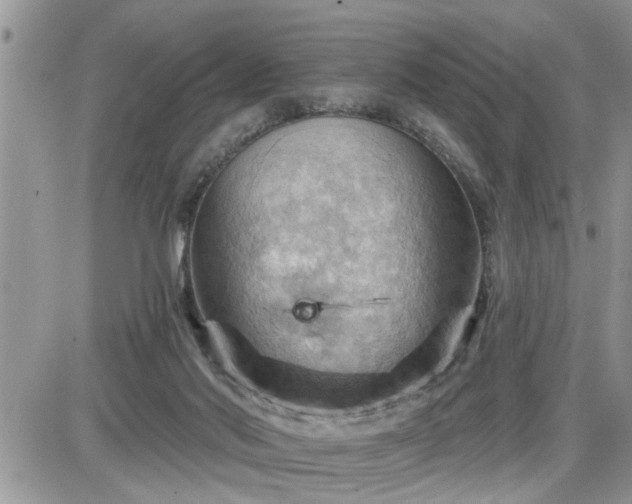 X0000087590022200705041520