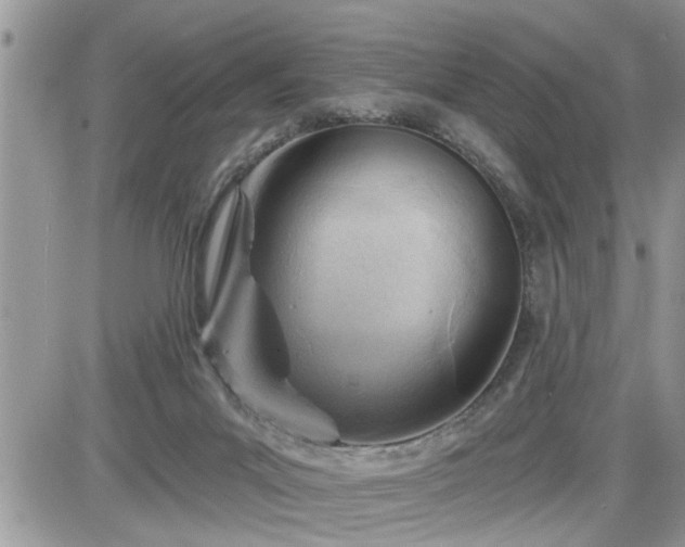 X0000087590023200705041520