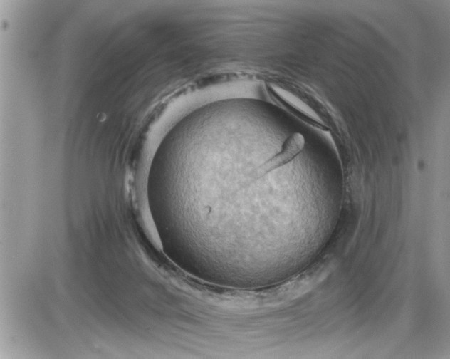 X0000087590024200705041520