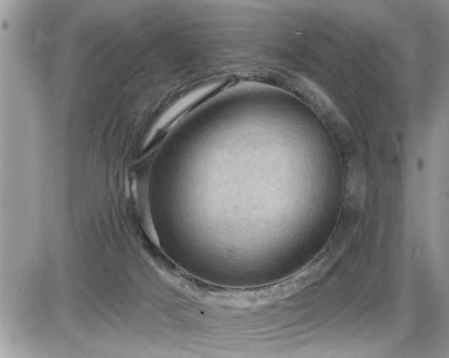 X0000087590025200705041520