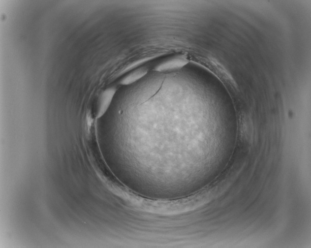 X0000087590026200705041520