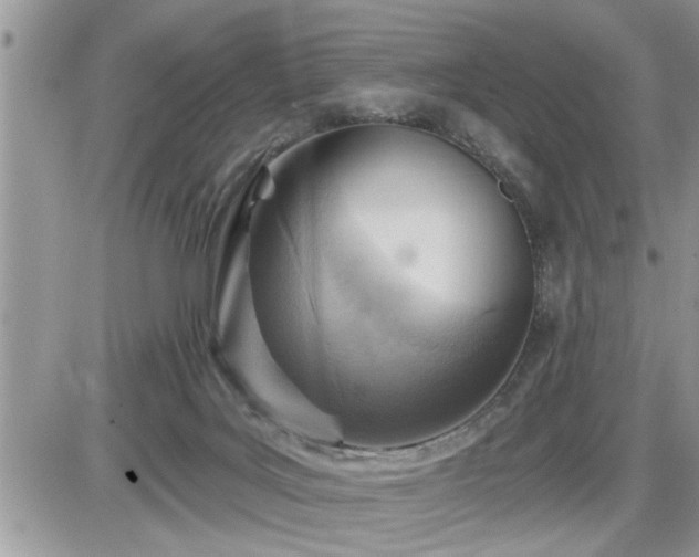 X0000087590027200705041520