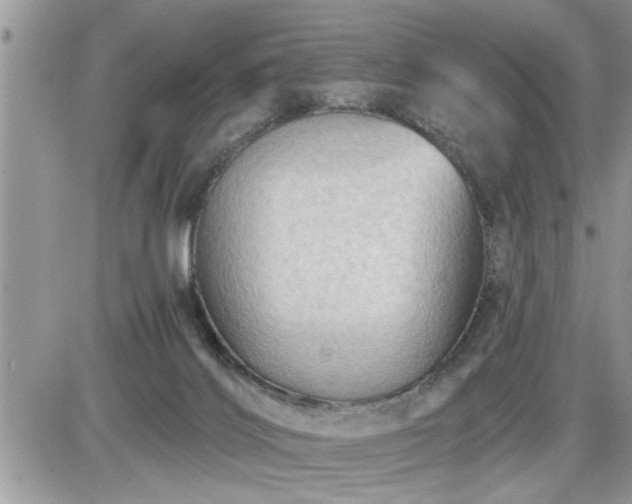 X0000087590028200705041520