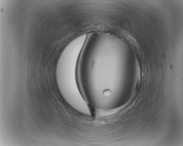 X0000087590029200705041520