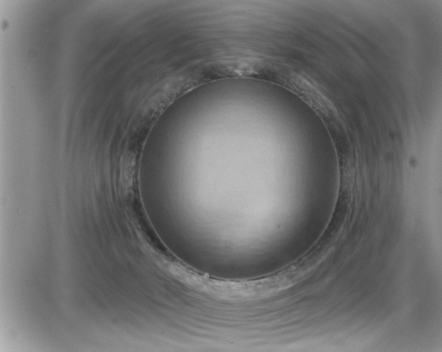 X0000087590030200705041520