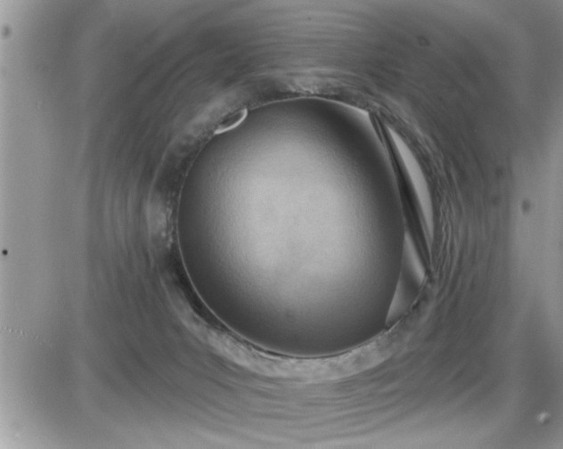 X0000087590031200705041520