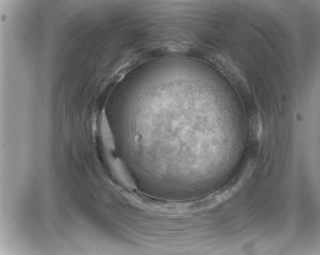 X0000087590032200705041520