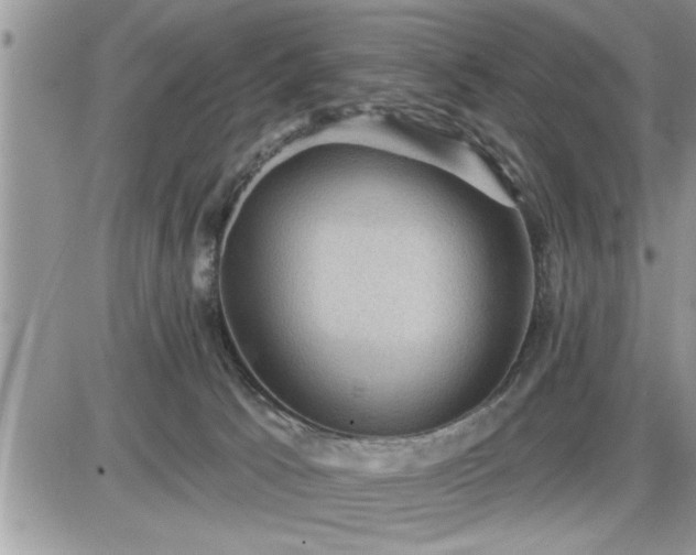 X0000087590033200705041520