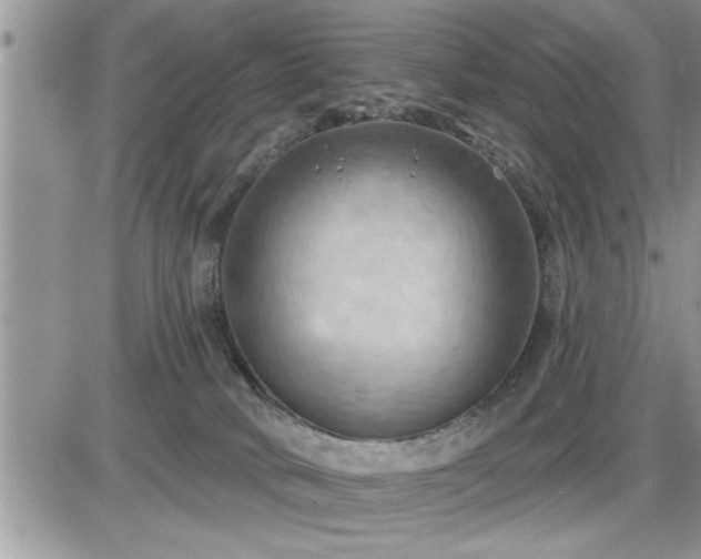 X0000087590034200705041520