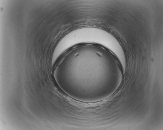 X0000087590035200705041520