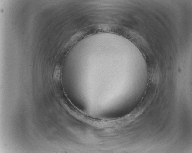 X0000087590036200705041520