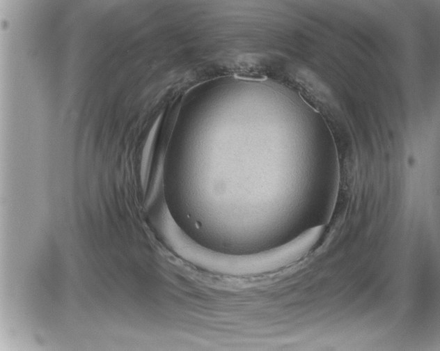 X0000087590037200705041520