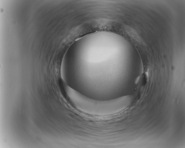 X0000087590039200705041520