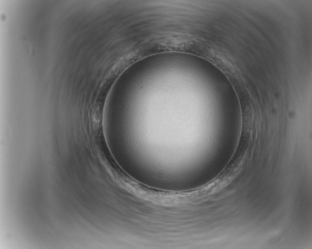 X0000087590040200705041520