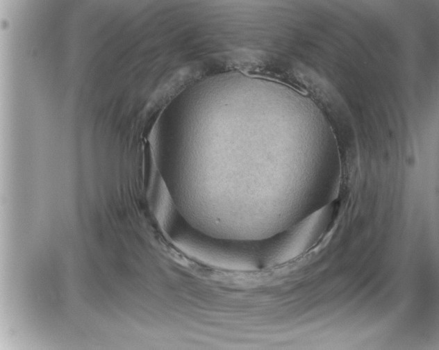 X0000087590041200705041520