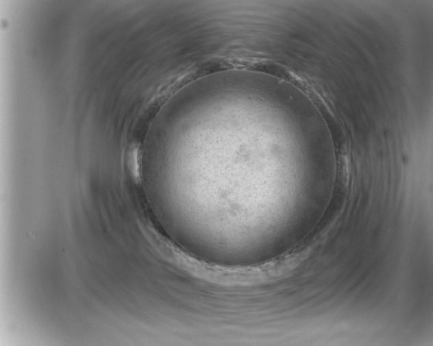 X0000087590042200705041520