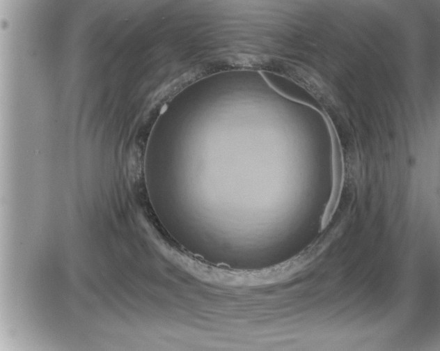 X0000087590043200705041520