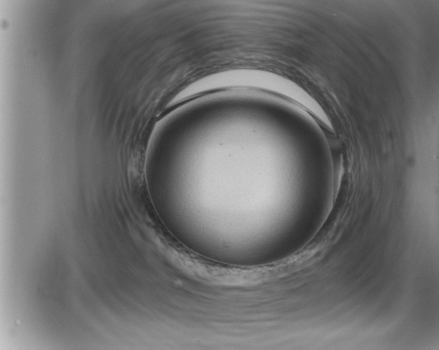 X0000087590044200705041520