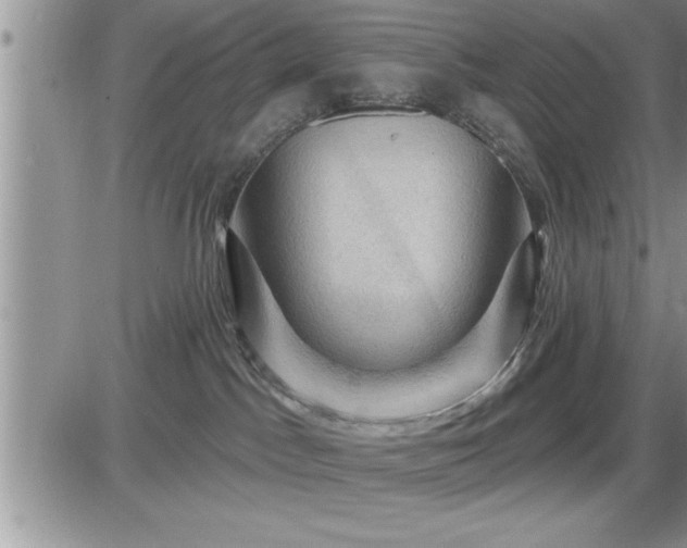 X0000087590045200705041520