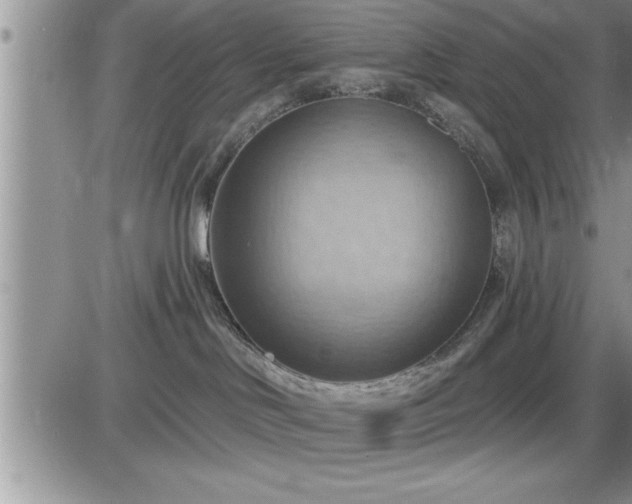 X0000087590046200705041520