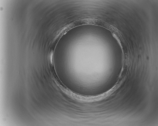 X0000087590047200705041520