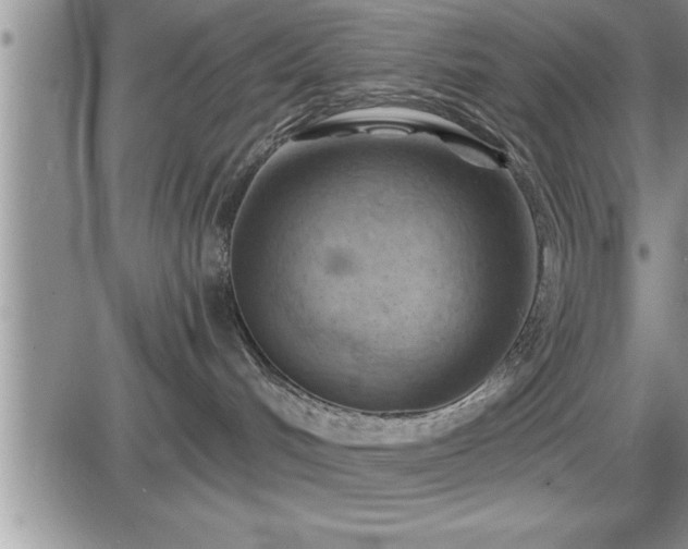 X0000087590048200705041520