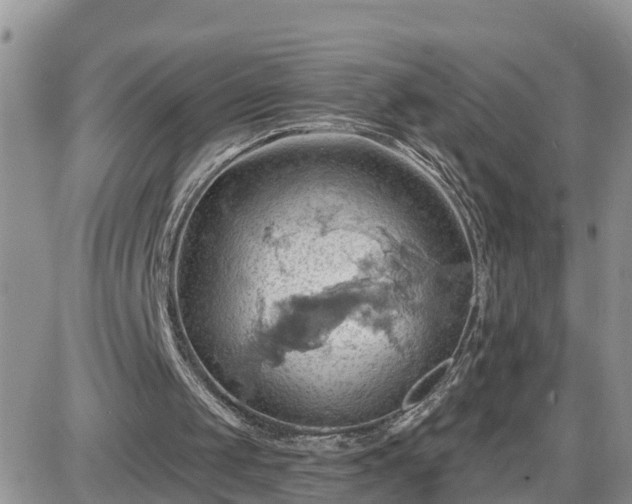 X0000087590049200705041519