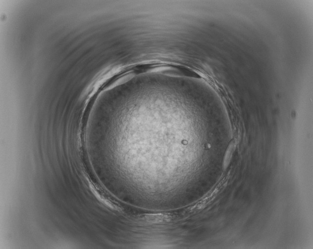 X0000087590050200705041519