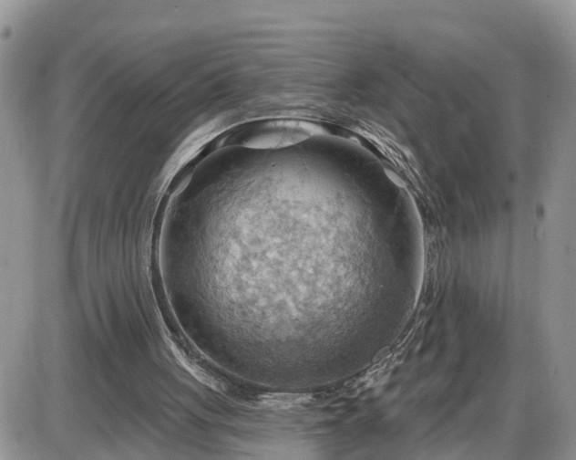 X0000087590051200705041519