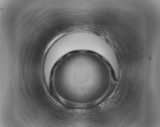 X0000087590052200705041519