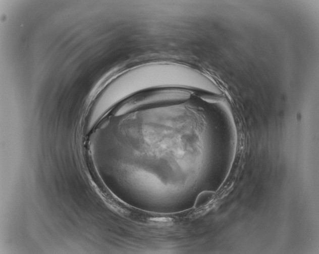 X0000087590053200705041519