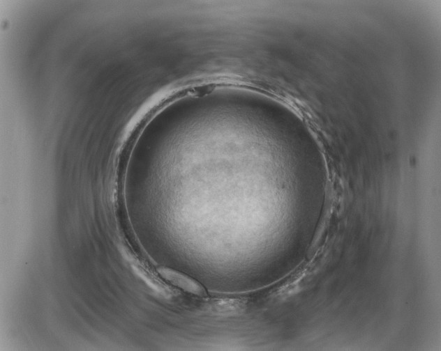 X0000087590056200705041519