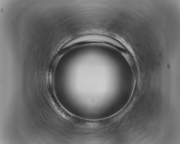 X0000087590057200705041519