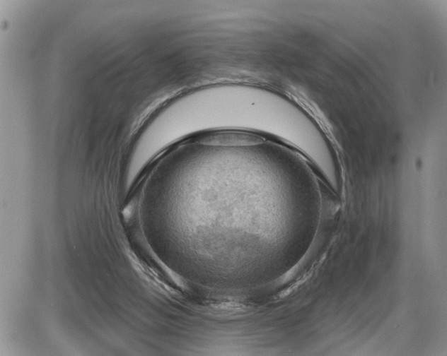 X0000087590058200705041519