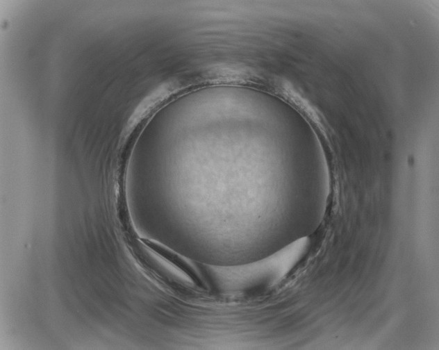 X0000087590059200705041519